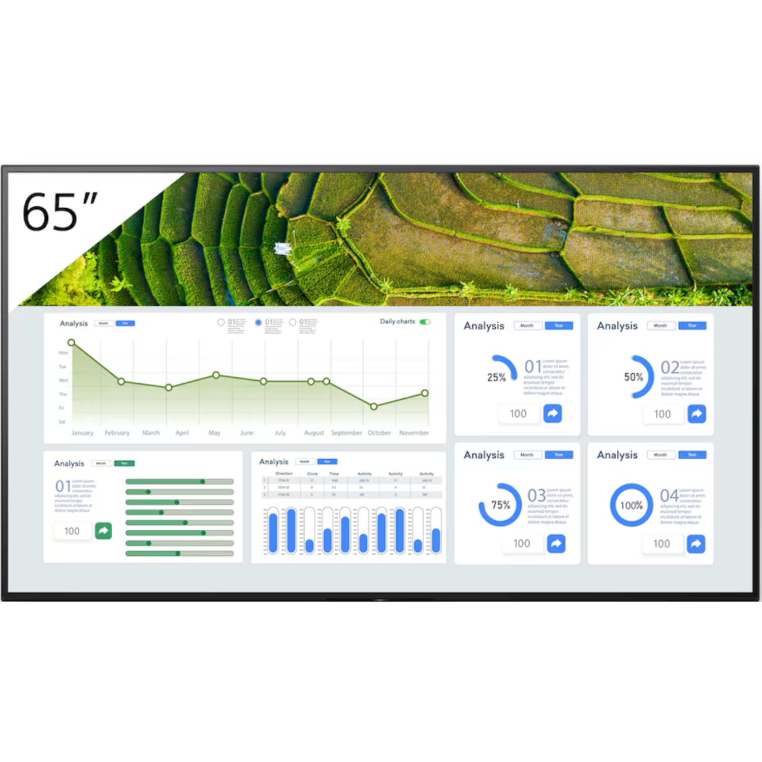 Monitor Sony FW-65BZ30L 65 cali