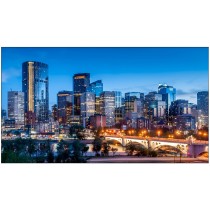 Monitor Samsung QM75C 75 cali