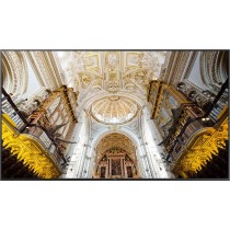 Monitor Samsung QB65C 65 cali