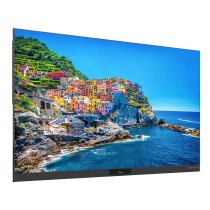 Ekran LED Optoma FHDC163
