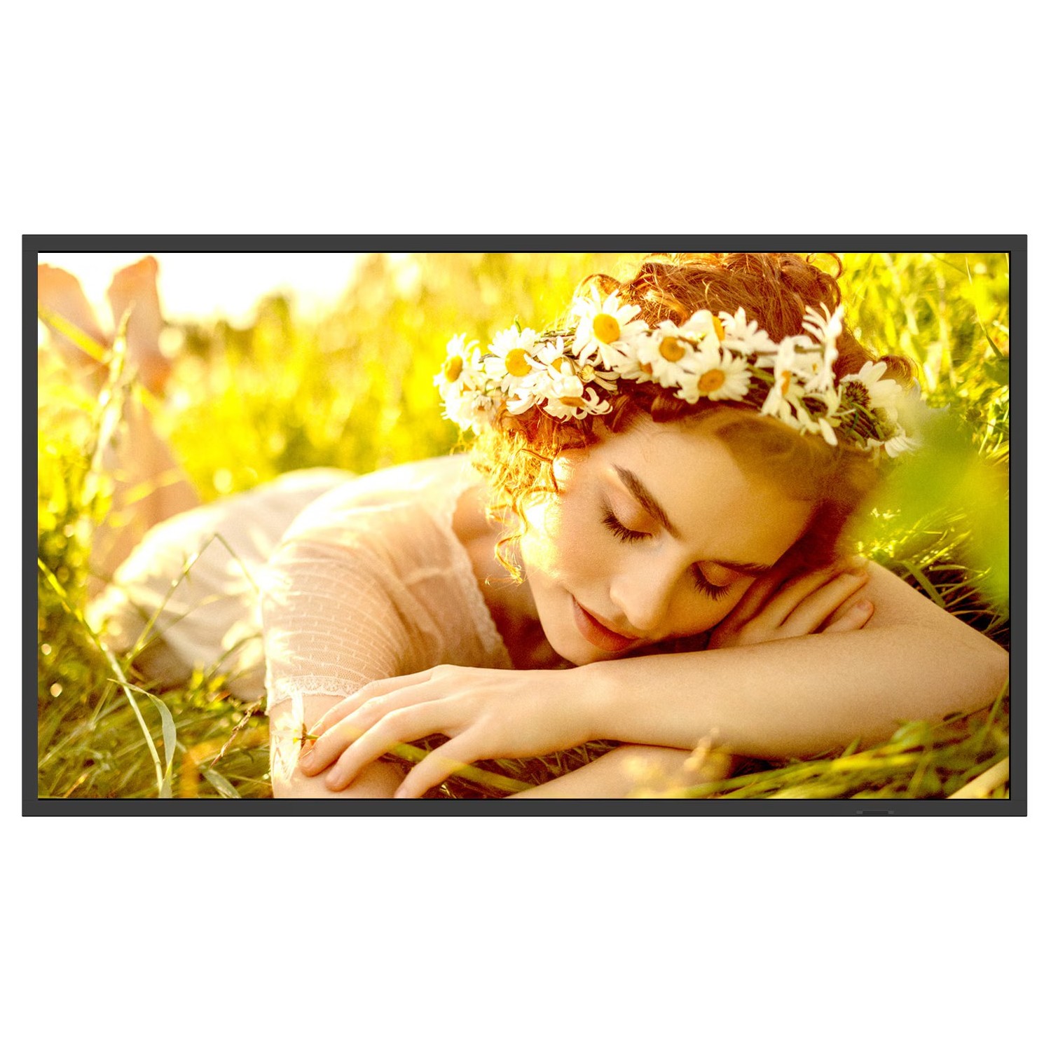 Monitor LG 86UL5Q-E 86 cali