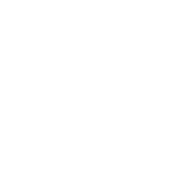 Newline ModCam_icon_1.png