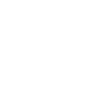 Newline ModCam_icon_3.png