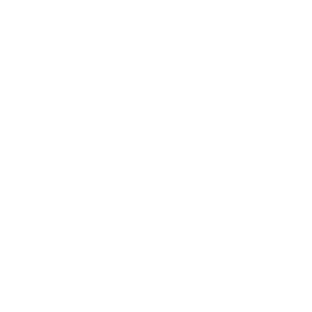 Newline ModCam_icon_4.png