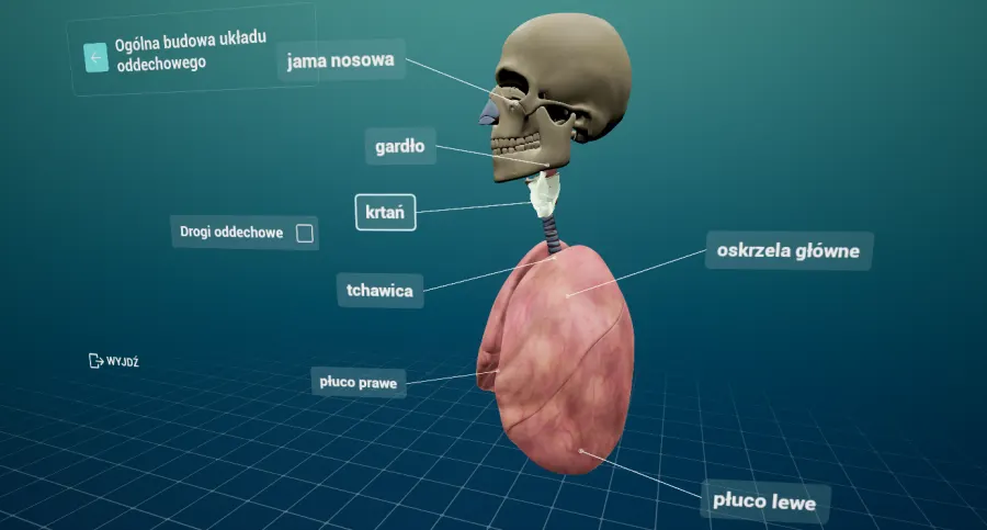 wirtualny atlas anatomiczny_2.webp