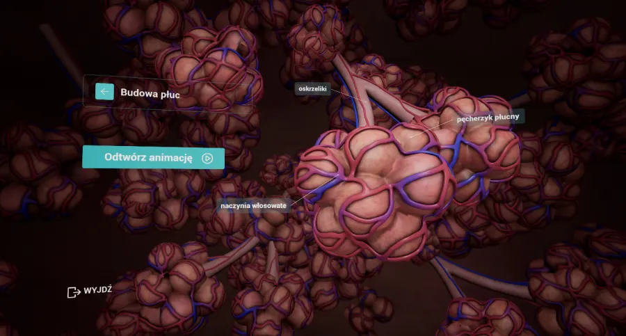 wirtualny atlas anatomiczny_3.webp