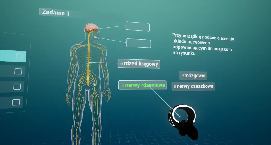 wirtualny atlas anatomiczny_4.webp