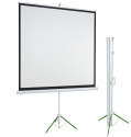 Ekran na trójnogu 2x3 ecoBoards 195x145 cm (4:3)