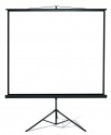 Ekran na trójnogu Kauber Econo 172x172 cm (1:1)