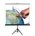 Ekran ręcznie rozwijany na trójnogu AVtek 150x150 cm (1:1)