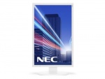 Monitor NEC MultiSync P242W